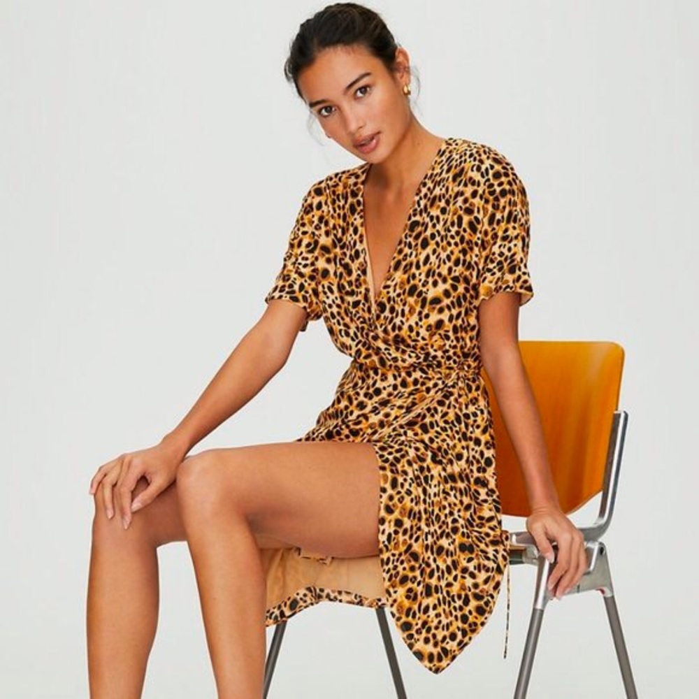 NWT Aritzia Babaton Wallace Dress